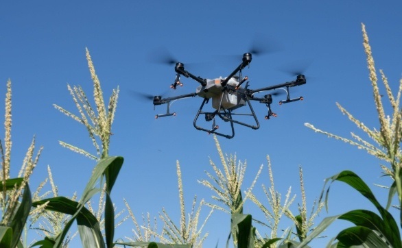 компанію Агрофлот